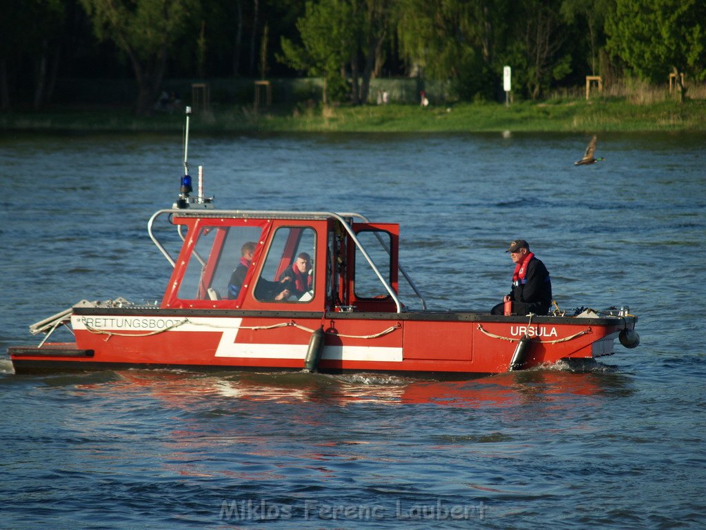 Motor Segelboot mit Motorschaden trieb gegen Alte Liebe bei Koeln Rodenkirchen P120.JPG